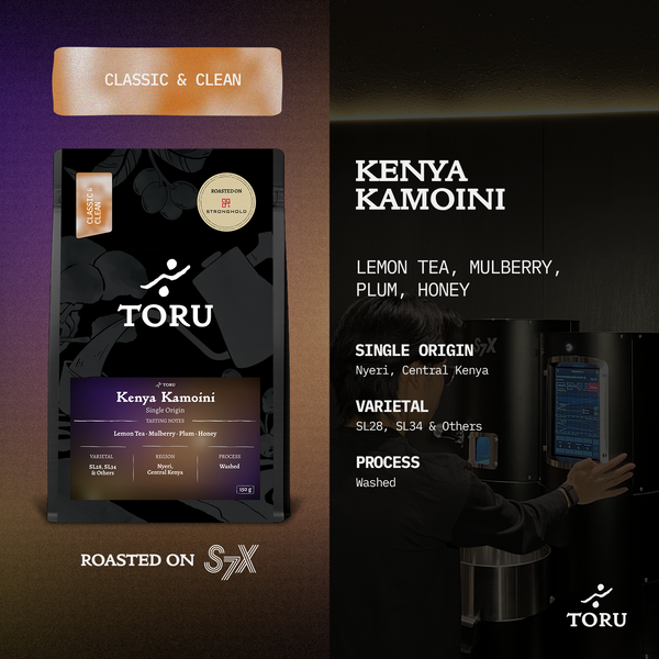 Kenya Kamoini AA